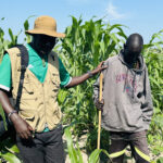 Early Planting: A Lifesaver for Leer Farmers Battling Floods