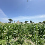 Yei Commissioner Urges Citizens to Boost Agriculture to Strengthen Economy