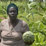 Farmers in Wau Aim Beyond Home Consumption