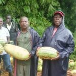 Anisa Farmers Urge Market Expansion, Eye Opportunities Beyond Yambio