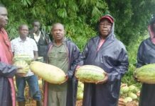 Anisa Farmers Urge Market Expansion, Eye Opportunities Beyond Yambio
