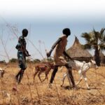 Forced Marriages and Poverty Contribute to High Suicide Rates in Wulu County, Authorities Report