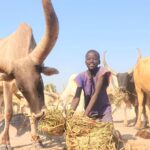 Annual Tri-State Pre-Seasonal Cattle Movement Conference Kicks Off in Wau