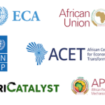 Experts Push for African-Led Credit Rating Reform at Washington Dialogue