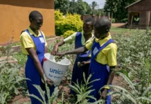 Juba, Torit, Yambio, and Aweil to benefit from Germany’s Resilience Fund