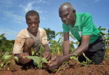 Oxfam to Empower Women and Youth on agriculture for two year