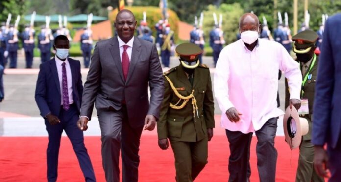 President Museveni of Uganda (Right) with Kenyan President William Ruto (Left) arrived ar evenue of Uganda Independence Celebration