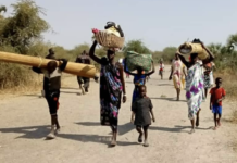Communities of in Leer, Mayendit Applauds Led Peace and Resilience Gains