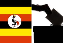 Uganda Election Raises Regional Tensions, Impacting South Sudan Border and Trade