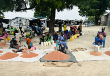 Leer County Exempts Sorghum from Tax to Ease Food Prices