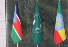 AU Calls for Renewed Commitment to Peace Implementation in South Sudan