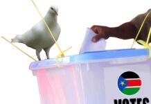 Opinion|Which Comes First: Peace or Elections in South Sudan?